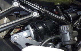 KAWASAKI Z900RS 2021 ZR900C