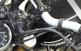 TRIUMPH SPEED400 2024