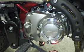 HONDA MONKEY 125 ABS 2018 JB02