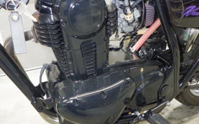 KAWASAKI 250TR 2017 BJ250F