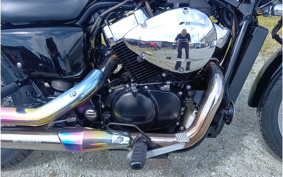 HONDA VT400S 2011 NC46