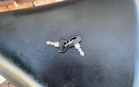 HONDA SUPER CUB50 C50