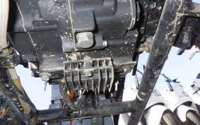 OTHER UNREGISTERED MODEL by BDS250