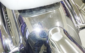 KAWASAKI ESTRELLA RS 2022 BJ250A