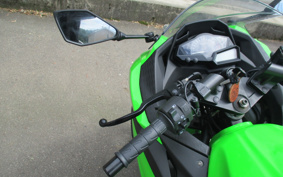 KAWASAKI NINJA 250 EX250L