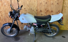 BMW R NINE T SCRAMBLER 2024 0L71