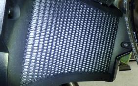 BMW F900GS 2025