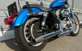 HARLEY XL883 2004 CAM