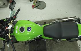 KAWASAKI ZRX1200 D 2010 ZRT20D