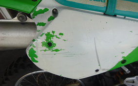 KAWASAKI KDX250SR DX250F