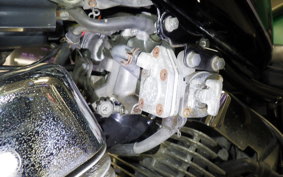 YAMAHA VIRAGO 250 2006 3DM