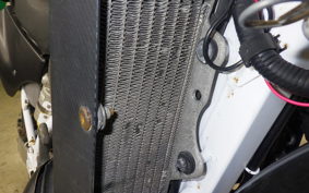 HONDA CRM250R GEN 2 2023 MD24