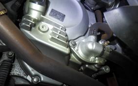 HONDA FAZE A 2022 MF11