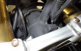 TRIUMPH TIGER 800 2015