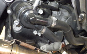 YAMAHA MAJESTY 250 Gen.4 SG20J