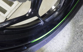KAWASAKI NINJA 250 ABS 2024 EX250L