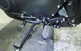 TRIUMPH SCRAMBLER 900 2024