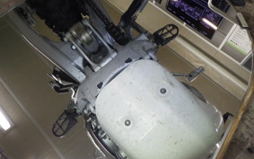 YAMAHA WR250R 2023 DG15J