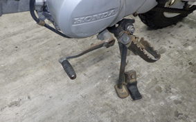 HONDA MONKEY BAJA 2022 Z50J
