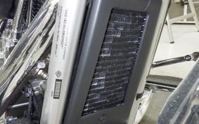 HARLEY FLSTFI1920 2025