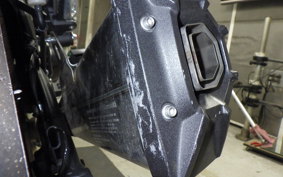KAWASAKI NINJA 1000SX 2020 ZXT02K