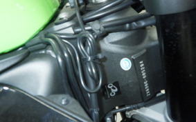 KAWASAKI NINJA ZX-6R A 2019 ZX636G