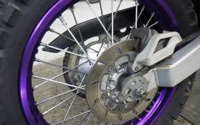 YAMAHA TT250R RAID 4GY