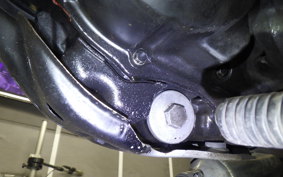 YAMAHA TW225 2021 DG09J