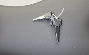 TRIUMPH DAYTONA660 2024