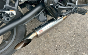 HONDA REBEL MC49