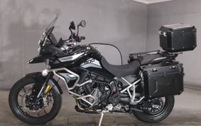 TRIUMPH TIGER 900GT PRO 2024 TRE64D