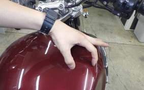 TRIUMPH THUNDERBIRD 900 1996