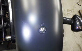 HARLEY XL883N 2018