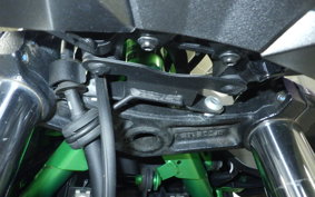 KAWASAKI Z250 Gen.2 2025 EX250Y