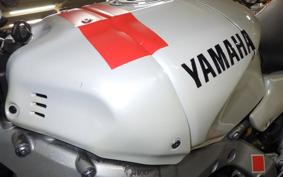 YAMAHA XSR900 GP 2024 RN96J