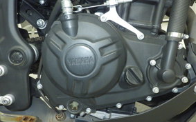 YAMAHA MT-25 2021 RG43J