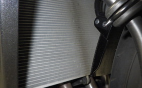 KAWASAKI NINJA1100SX 2025 ZXT10H