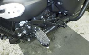 TRIUMPH SCRAMBLER 900 2023