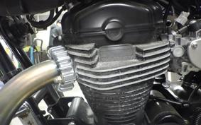 KAWASAKI W800 2016 EJ800A