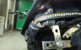 YAMAHA WR250X 2024 DG15J