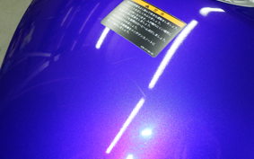 YAMAHA YZF-R25 2025 RG43J