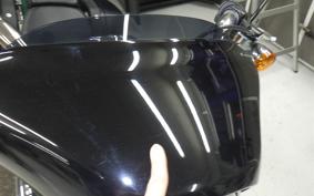 HARLEY FLSB 1750 2021