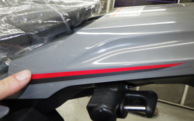 HONDA CRF250L 2023 MD47