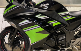 KAWASAKI NINJA 250 EX250L