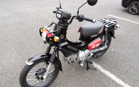 HONDA CROSS CUB JA45