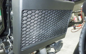 HONDA REBEL 250 2023 MC49