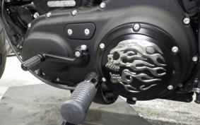 HARLEY XL1200NS 2019