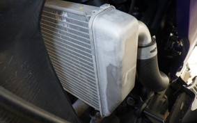 YAMAHA YZF-R25 RG43J