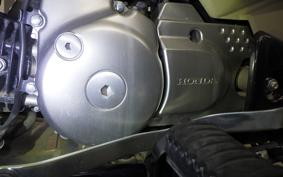 HONDA CT125 HUNTER CUB JA55