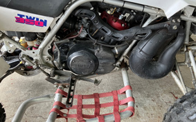 YAMAHA YF350Z 3GG